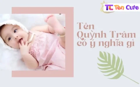 Tên Quỳnh Trâm Có Ý Nghĩa