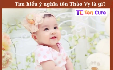 Ý Nghĩa Của Tên Thảo Vy