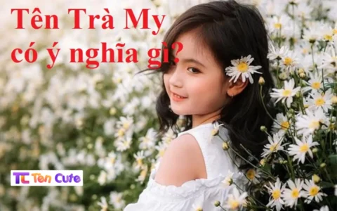 Ý Nghĩa Tên Trà My